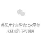 历史纪录！尾盘拉升！发生了什么？