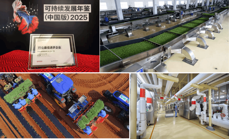 康师傅：在流量泡沫中坚守，以长期主义致胜