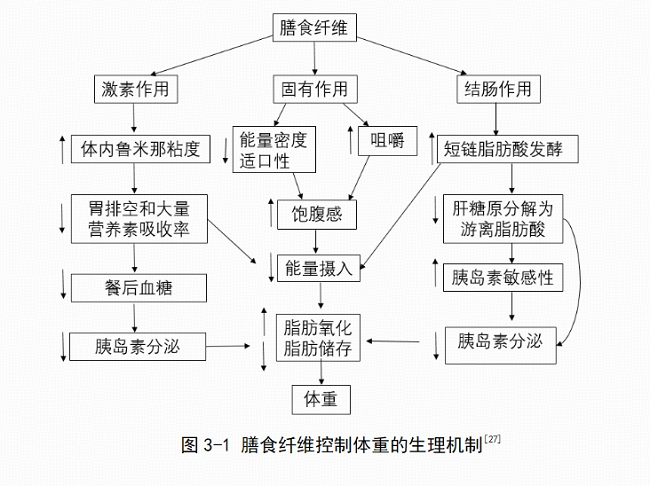 沪上阿姨发布《中国现制茶饮膳食营养升级白皮书》:“纤”起茶饮“每日健康+”新风尚