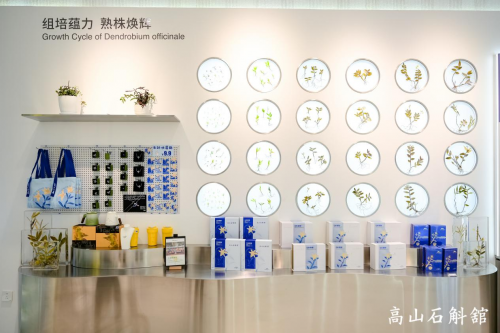 植物医生高山石斛馆落成，“中国成分”实现价值升舱