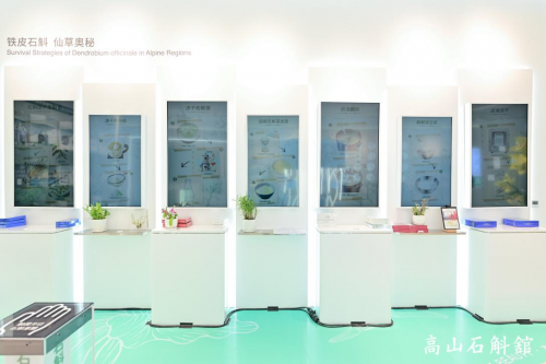 植物医生高山石斛馆落成，“中国成分”实现价值升舱