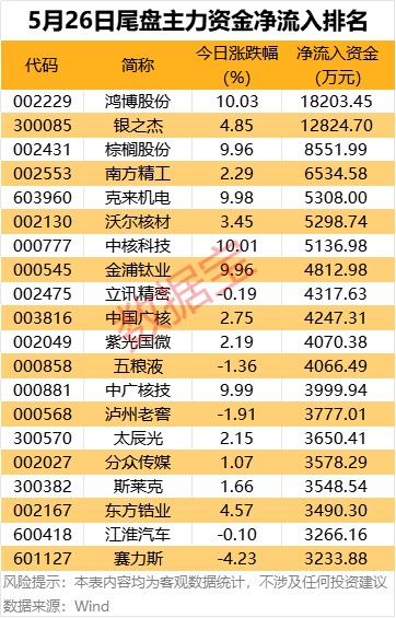 主力资金丨尾盘资金大幅抢筹2股