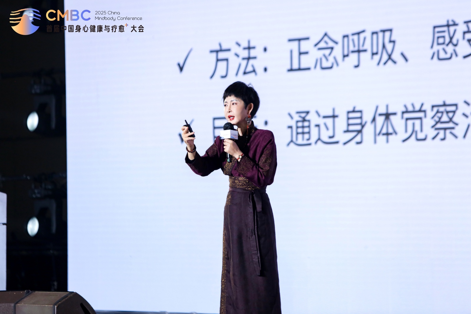 2025首届中国身心健康与疗愈⁺大会 ，为行业破局增长注入新力量！