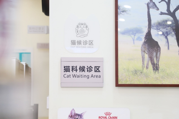 新瑞鹏集团爱猫义诊第三站落地沪湘，深度传递科学养猫理念