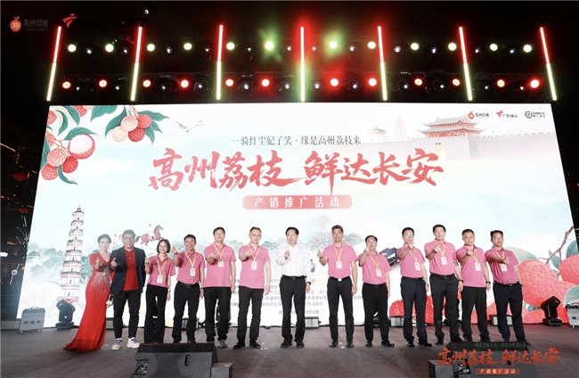 千年荔缘一线牵：从高州到西安，顺丰跨越1800公里的甜蜜接“荔”