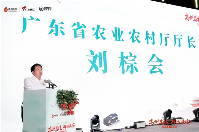 千年荔缘一线牵：从高州到西安，顺丰跨越1800公里的甜蜜接“荔”
