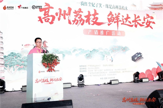 千年荔缘一线牵：从高州到西安，顺丰跨越1800公里的甜蜜接“荔”