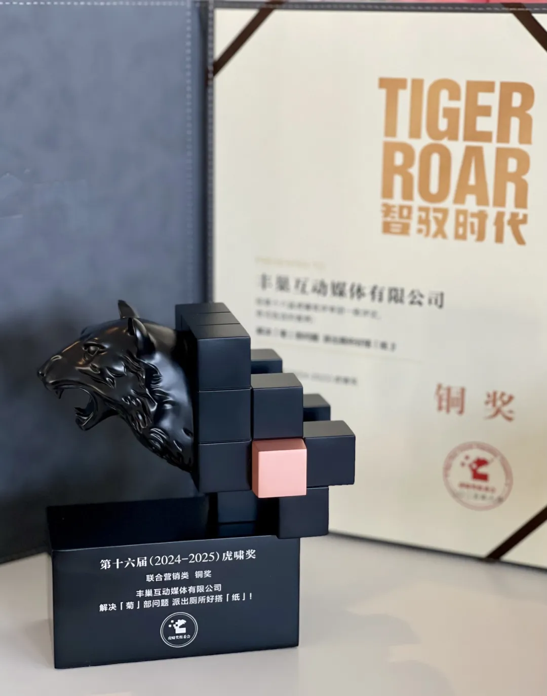 马应龙 X 丰巢互动媒体斩获第十六届虎啸奖联合营销类铜奖