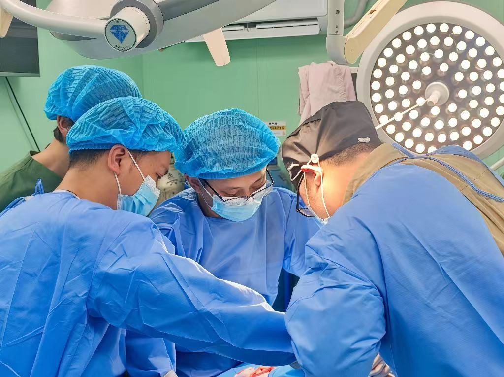 连续攻克三大骨科难题，新瑞鹏集团瑞鹏宠物医院上海黄兴总院引领宠物骨科专科发展