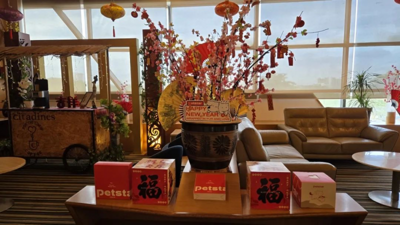 天元宠物董事长：携手豫园灯会泰国亮灯 共助中国文化“走出去”