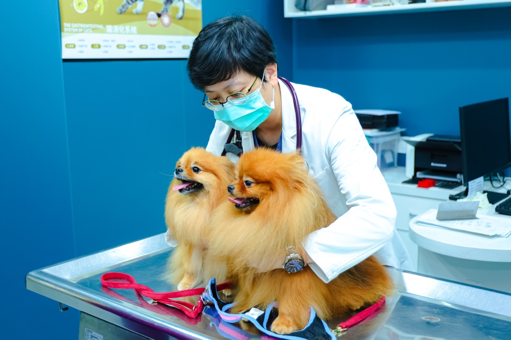 专访新瑞鹏心脏科兽医专家苏钰雯：一场关于专业、理性与善意的诊疗选择