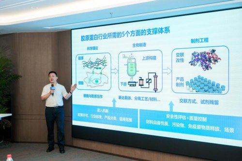 2025生命谷合成生物创新研讨会系列活动第三期——胶原蛋白专题成功举办
